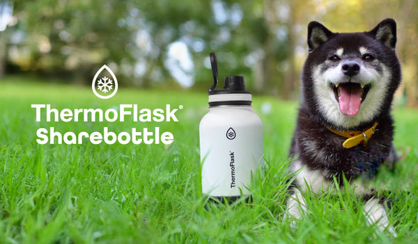 ThermoFlask シェアボトル 登場